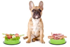 Hund mit gesundem Futter