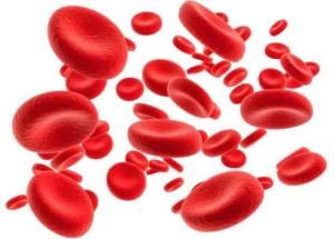 Rote Blutkörperchen