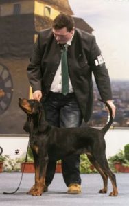 Michael Gonaus mit Black an Tan Coonhound