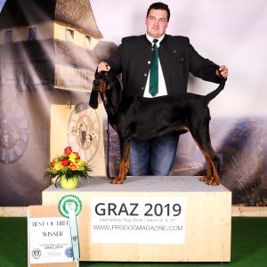 Michael Gonaus mit Black an Tan Coonhound