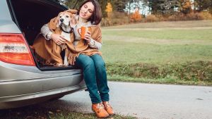 Fahrt aufs Land mit Hund