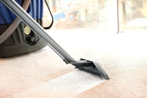 Hundehaare entfernen - Teppich reinigen
