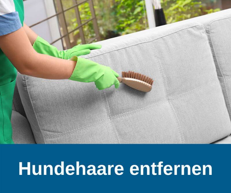 Hundehaare entfernen