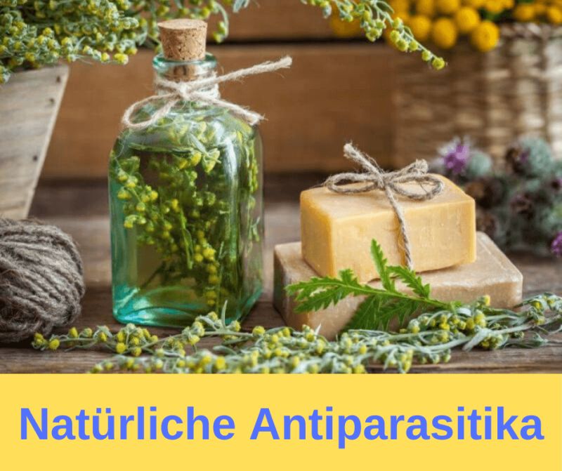 Natürliche Antiparasitika