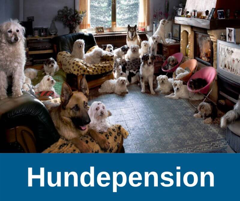 Hundepension