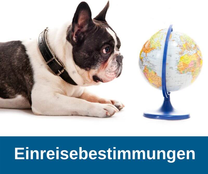 Einreisebestimmungen
