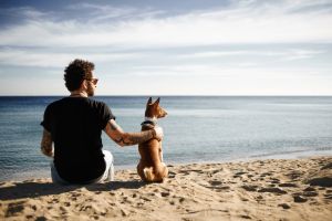 Mann und Hund am Strand