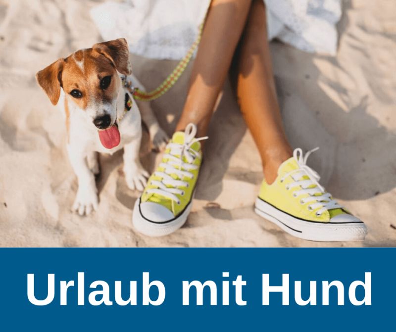 Hundeurlaub