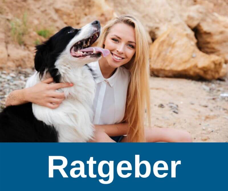 Ratgeber für Hundehalter