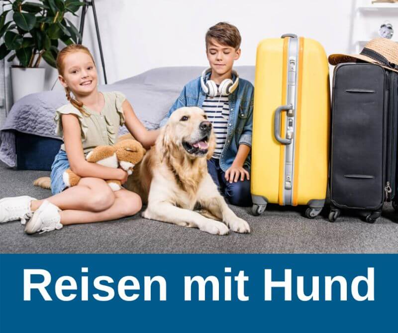 Reisen mit Hund