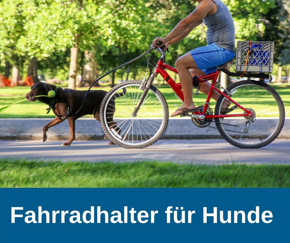 Fahrradhalter für Hunde