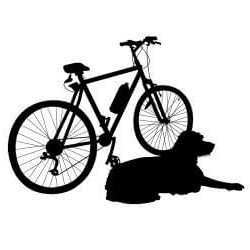 Hund und Fahrrad