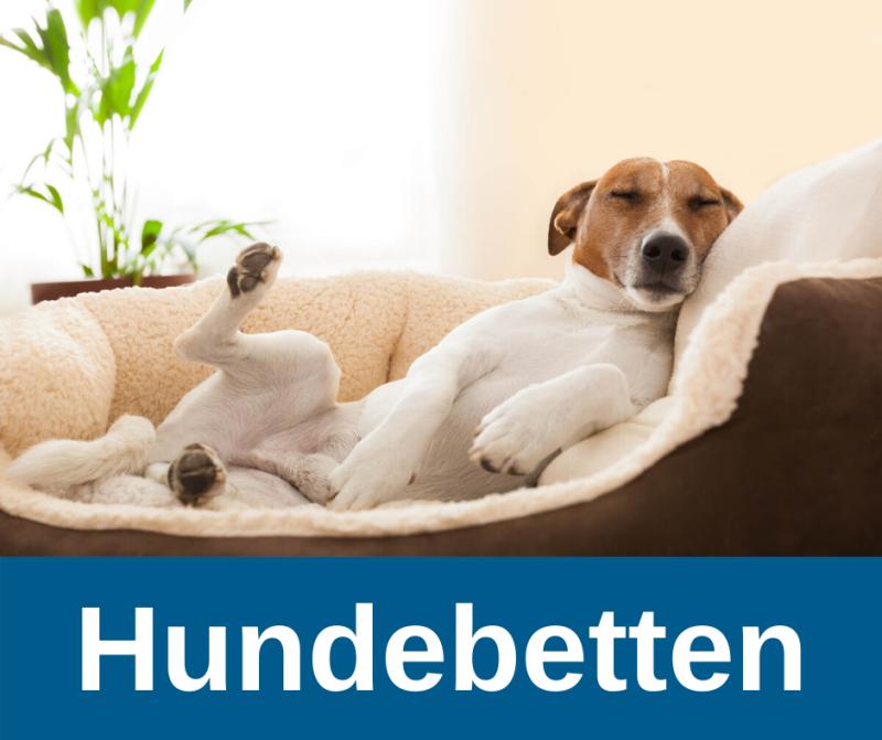 Hundebett