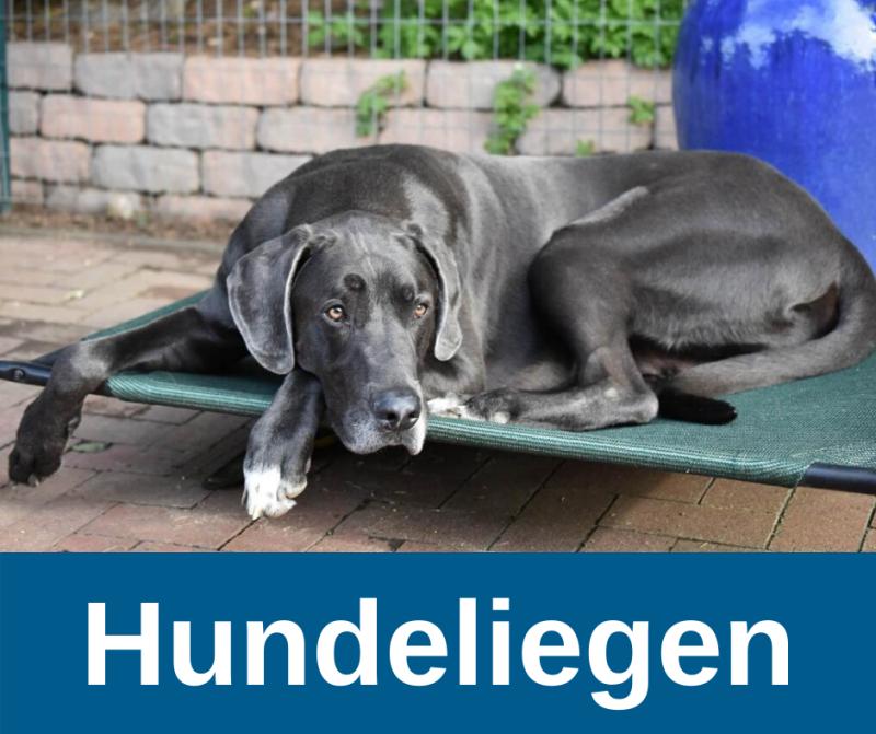 Hundeliege