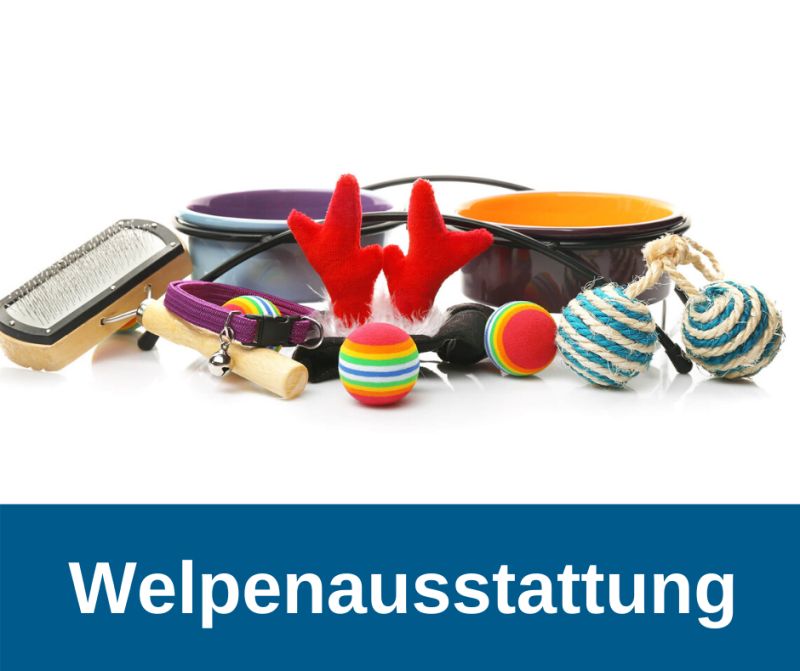 Hundewelpen - Welpenausstattung