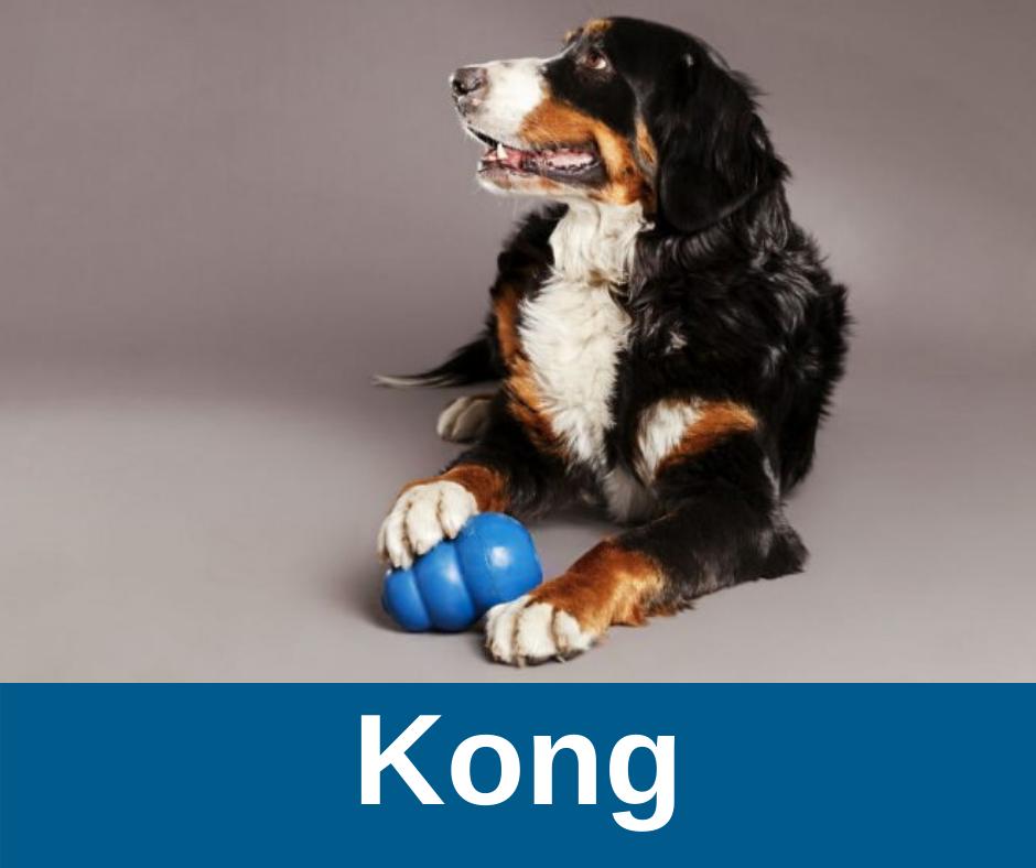 Kong Kauspielzeug für Hunde