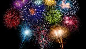 ᐅ Silvester Mit Hund Tipps Gegen Die Angst Guter Hund De