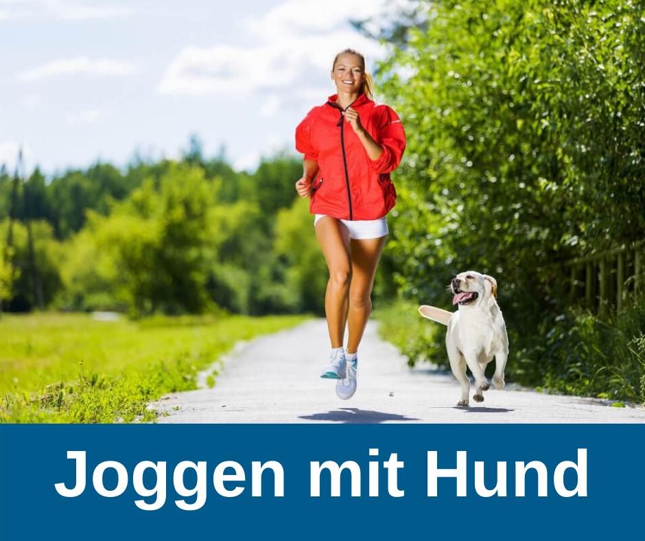 Joggen mit Hund