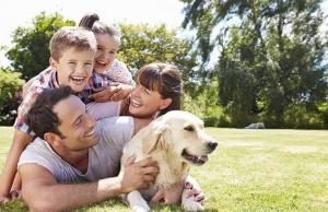 Hund mit Familie