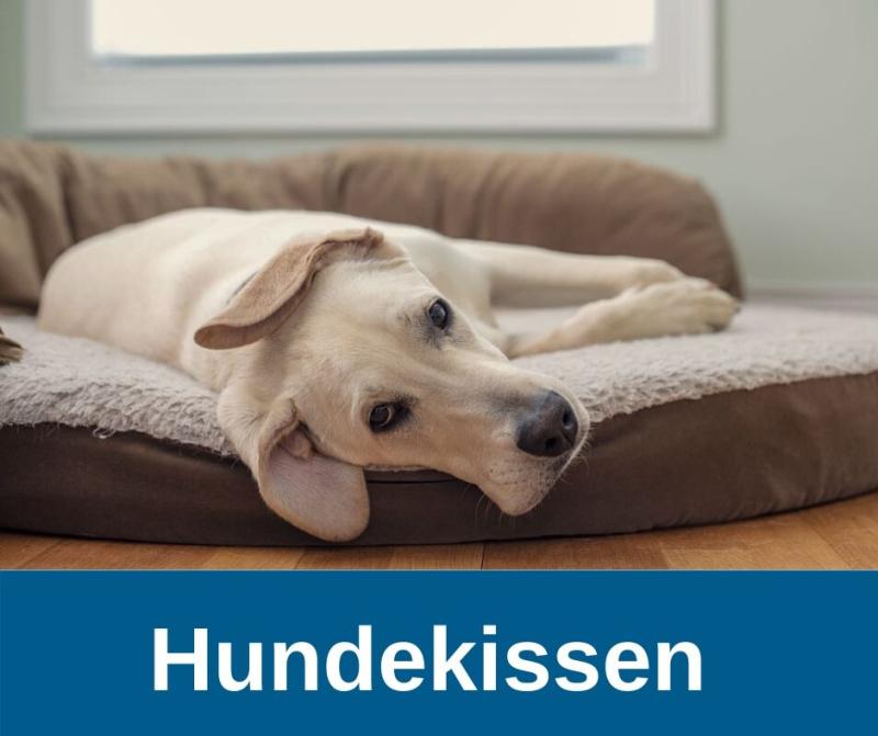 Hundekissen