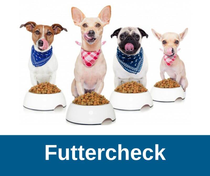 Kostenloser Futtercheck für Hunde › guterHund.de