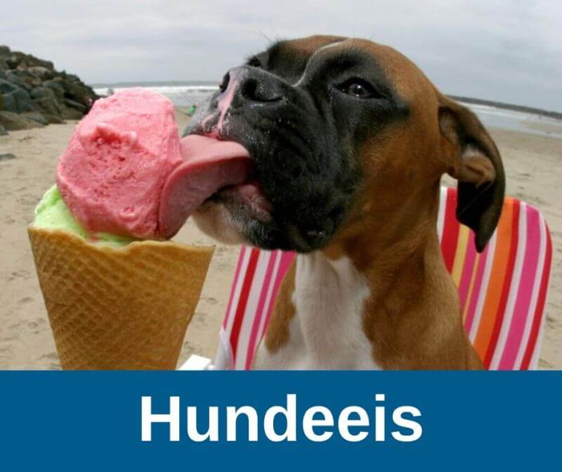 Hundeeis