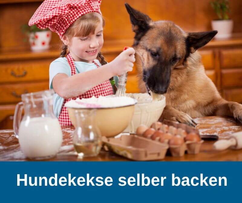 Hundekekse selber backen