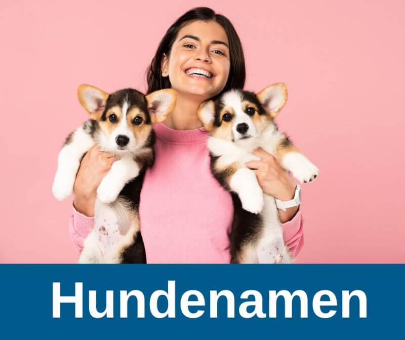 Hundenamen
