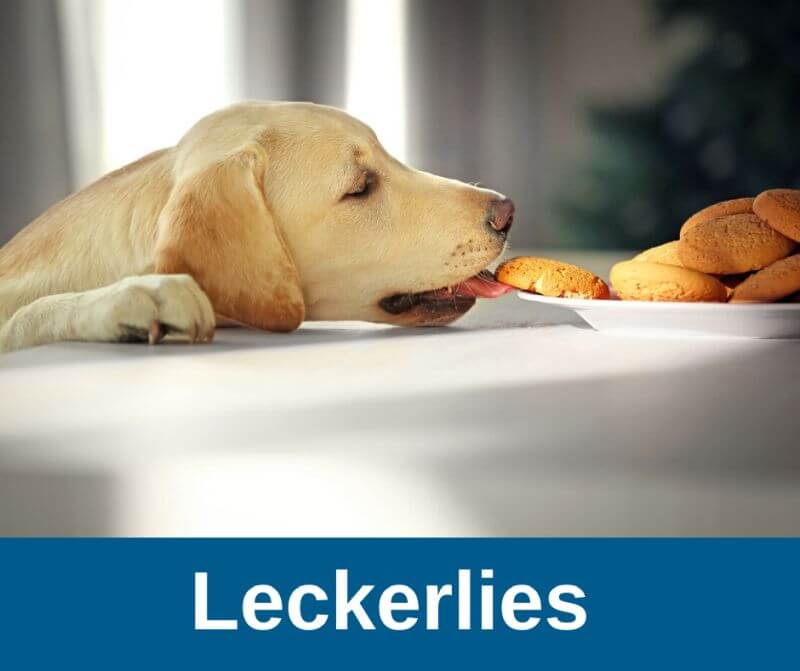 Leckerlies