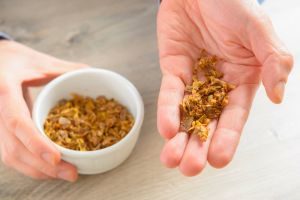 Propolis - Ratgeber für Hundehalter