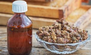 Propolis kaufen