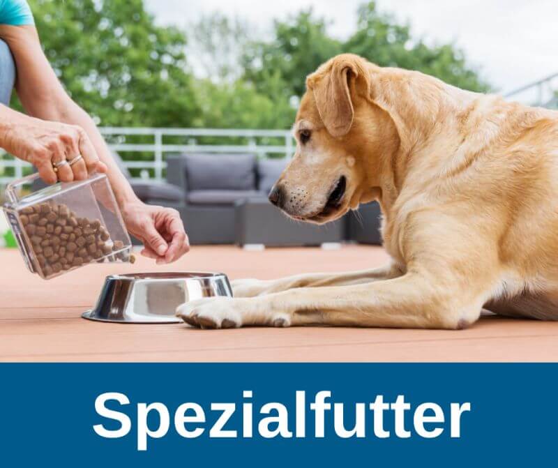 Spezialfutter für Hunde