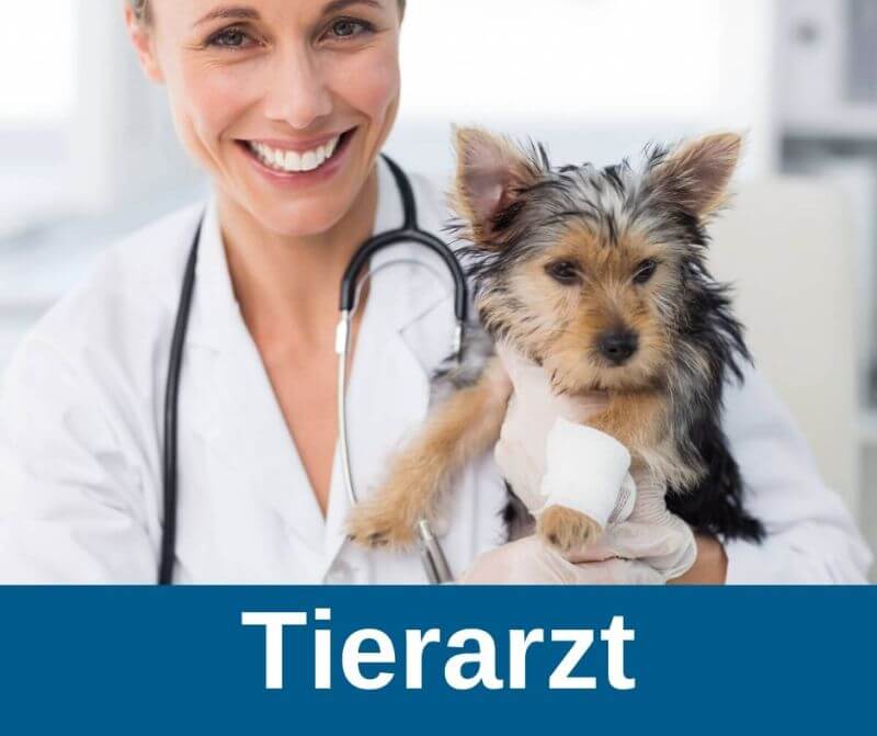 Tierarzt