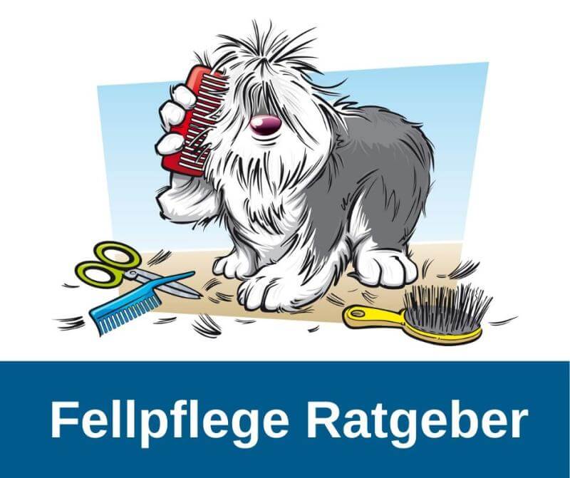 Fellpflege Ratgeber