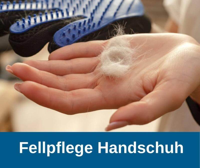 Fellpflege Handschuh
