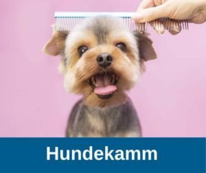 Hundekamm