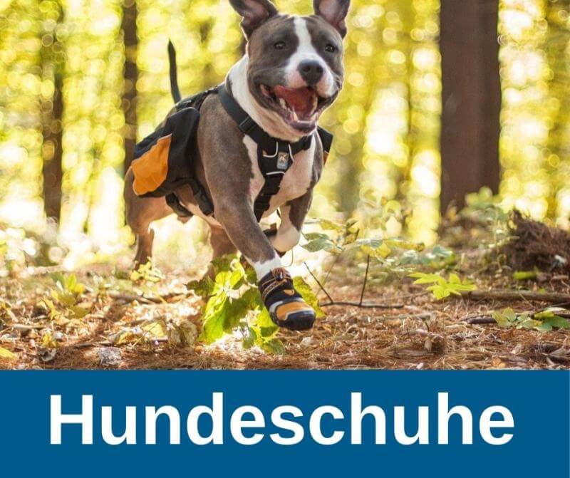 Hundeschuhe