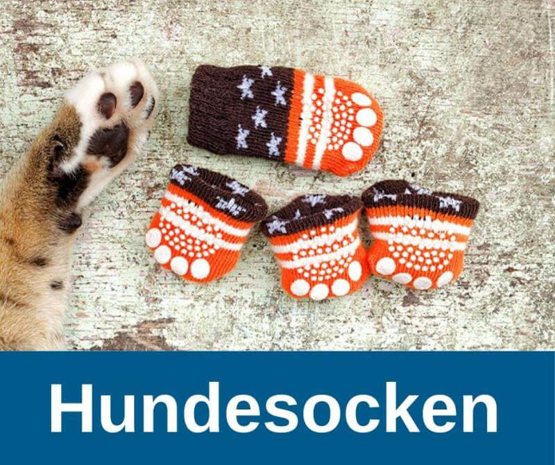 Hundesocken