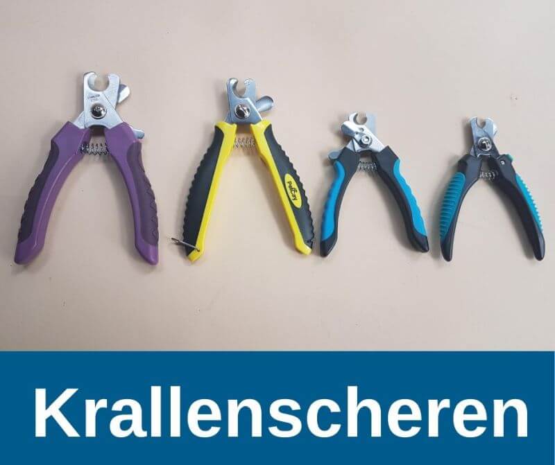 ᐅ Die besten und beliebtesten Krallenscheren 2021 für Hunde im Test
