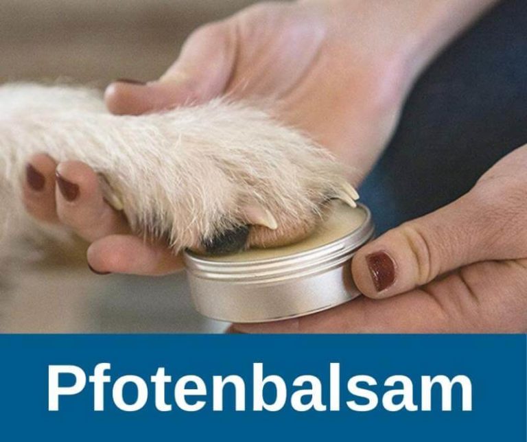 ᐅ Pfotenbalsam 2020 Schutz und Pflege für Hundepfoten › guterHund.de
