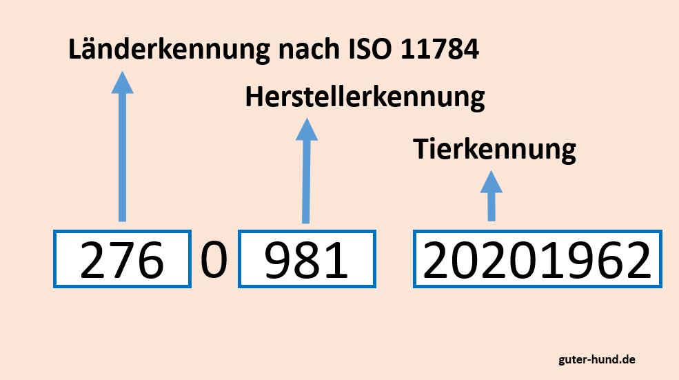 Grafik Erklärung Identiftkationsnummer Microchip für Hunde