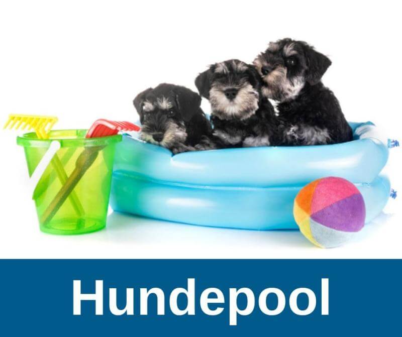 Hundepool