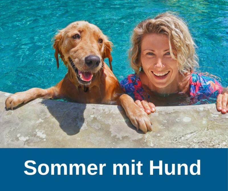 Hundezubehör für den Sommer