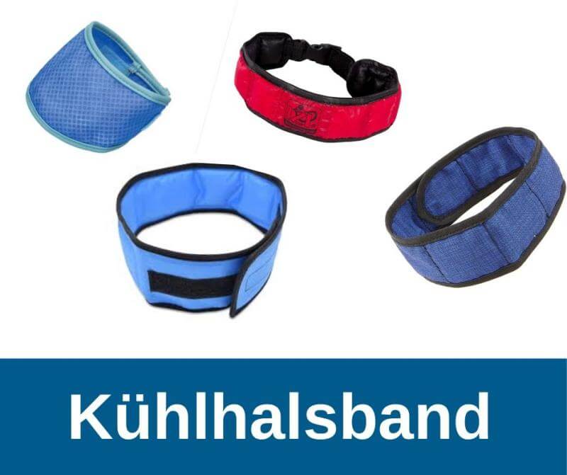 Kühlhalsband für Hunde