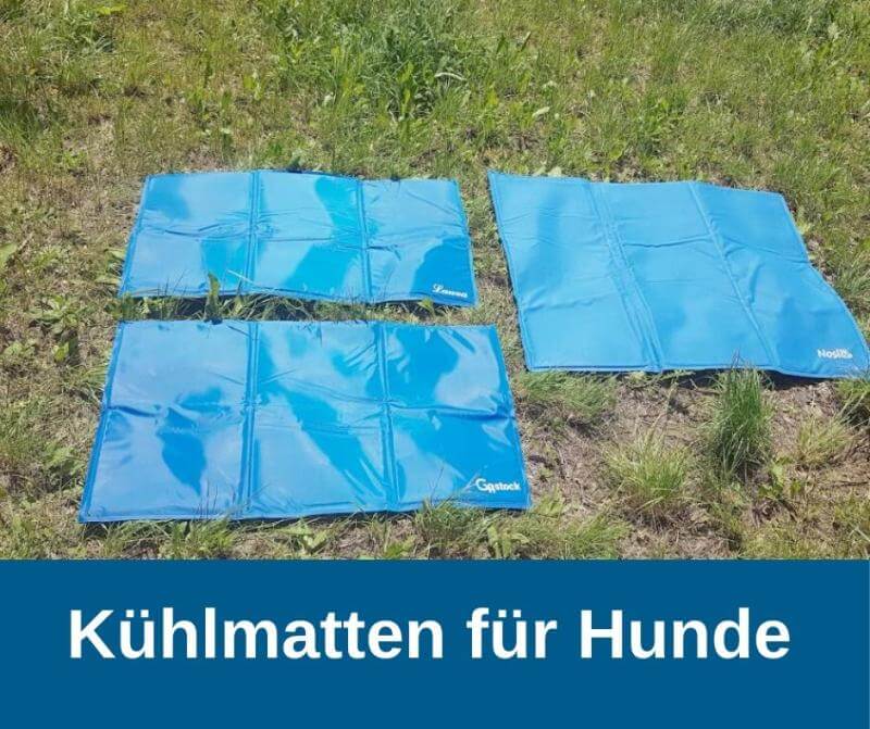 Kühlmatten für Hunde