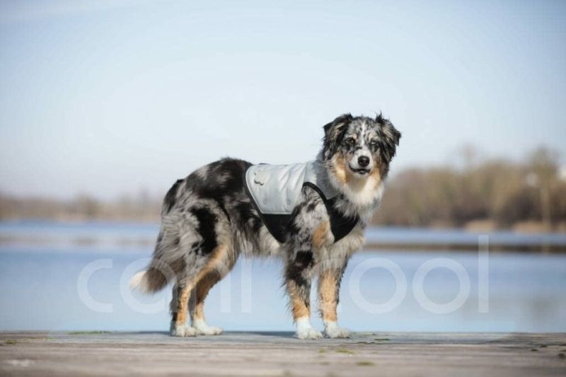Cani Cool Kühlweste für Hunde