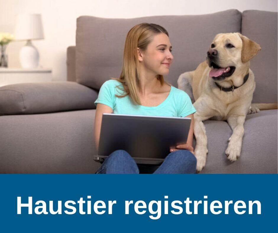 Haustier registrieren in der Zentralen Haustierdatei Deutschland