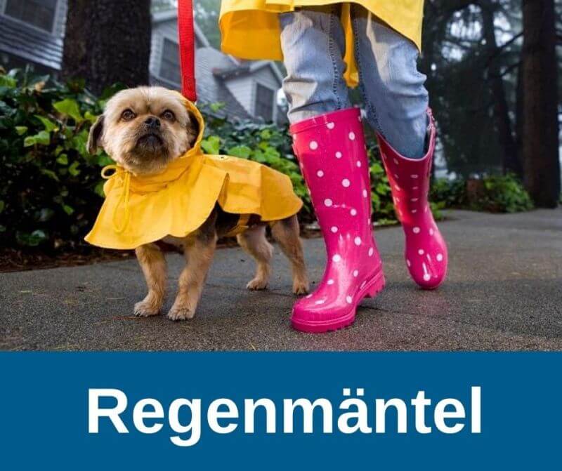 Regenmantel für Hunde