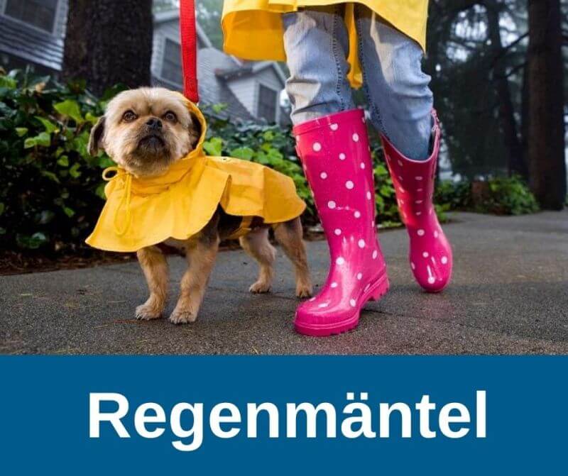 Regenmantel für Hunde