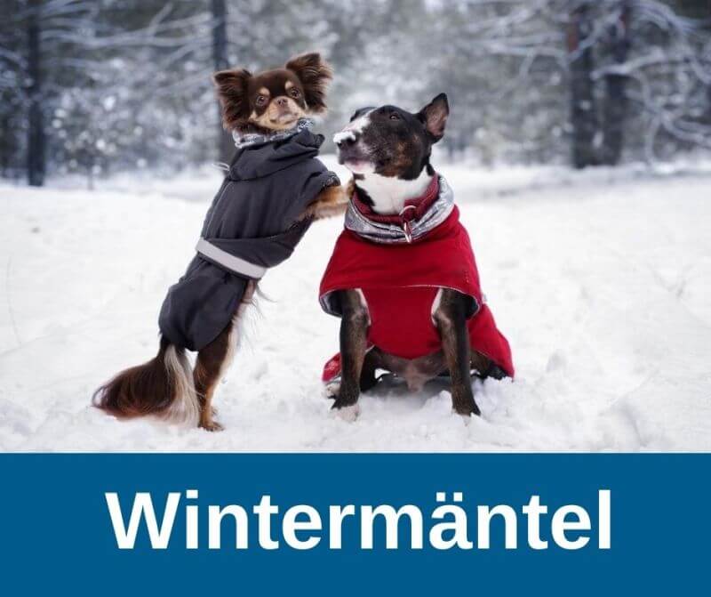 Wintermantel für Hunde